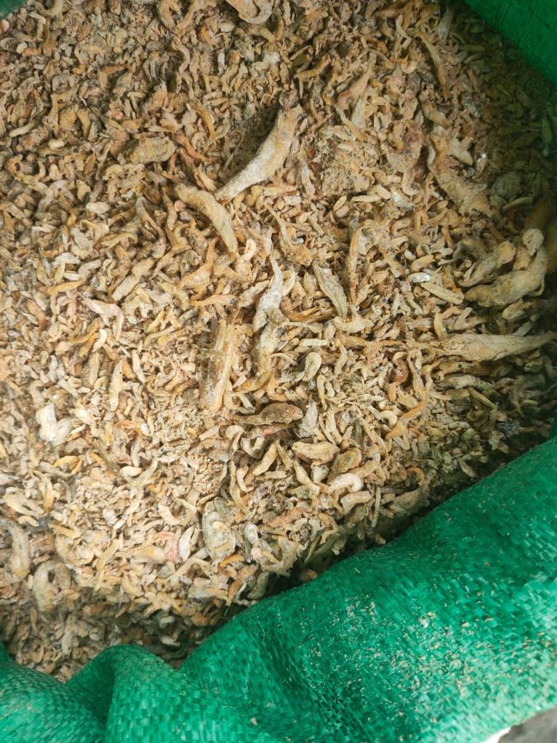 饲料鱼干
