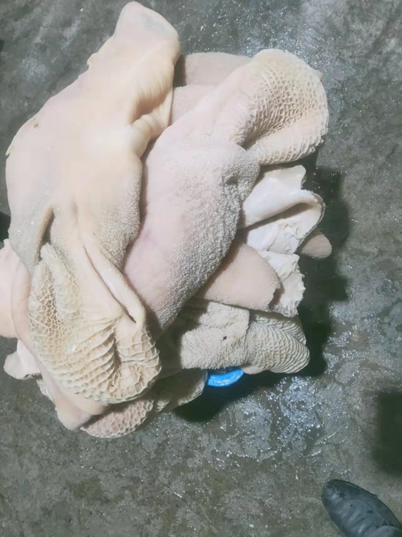 去油生牛肚去低油很干净需要的老板联系