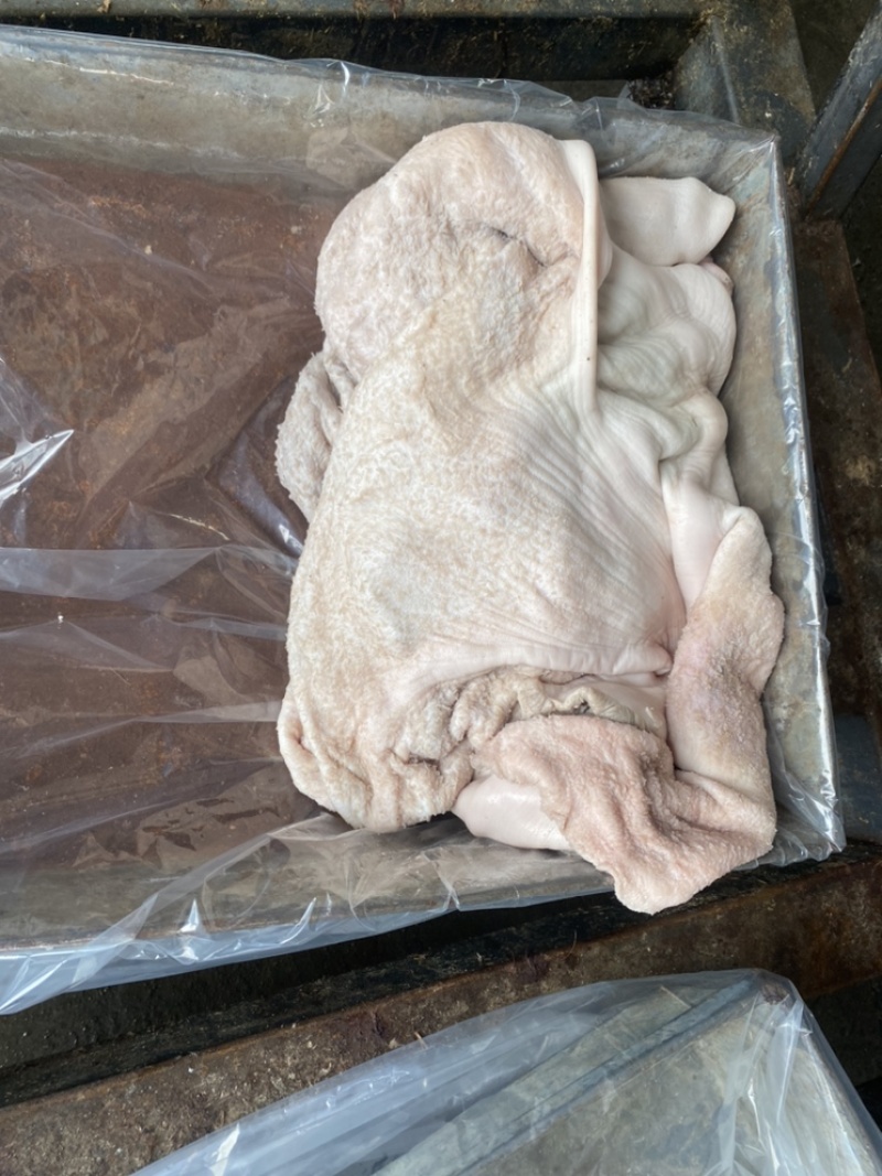 去油生牛肚去低油很干净需要的老板联系
