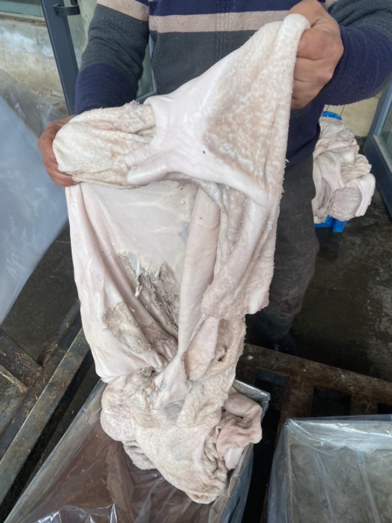 去油生牛肚去低油很干净需要的老板联系