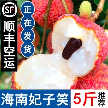 海南妃子笑荔枝/早熟妃子笑荔枝/荔枝/4月26号一件代发