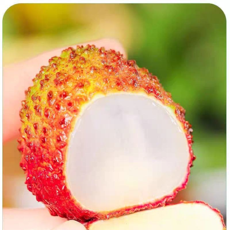 海南妃子笑荔枝/早熟妃子笑荔枝/荔枝/4月26号一件代发