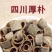 厚朴中药材厚朴赤厚朴无硫厚朴正品川厚朴厚朴粉多
