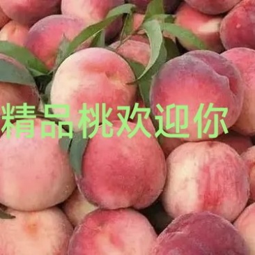 真实报价！拒绝欺骗！欢迎采购合作！