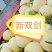 各种甜瓜即将上市欢迎新老客户前来选购