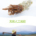翻白草降唐草鸡爪棵山花生全草带根干货河南伏牛山产地直销