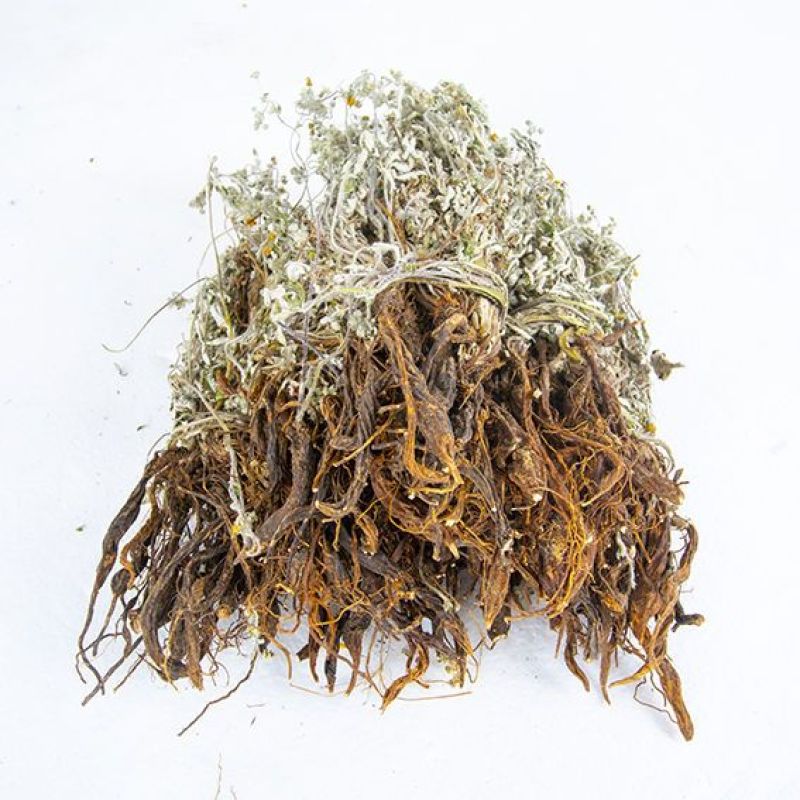 翻白草降唐草鸡爪棵山花生全草带根干货河南伏牛山产地直销