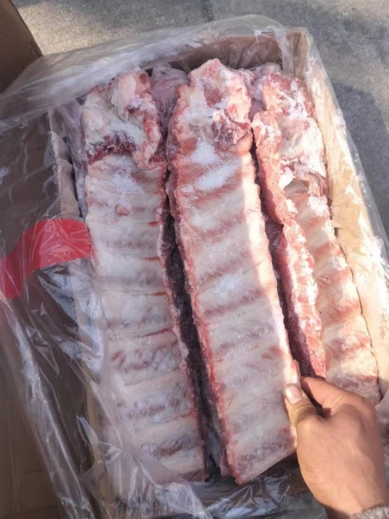 精品寸排10公分精品肋排段纯干无冰鲜冻发货全国接单
