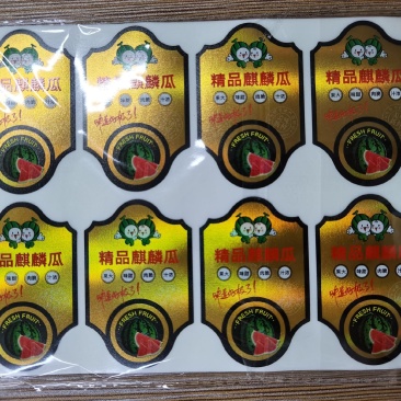 新品上市
