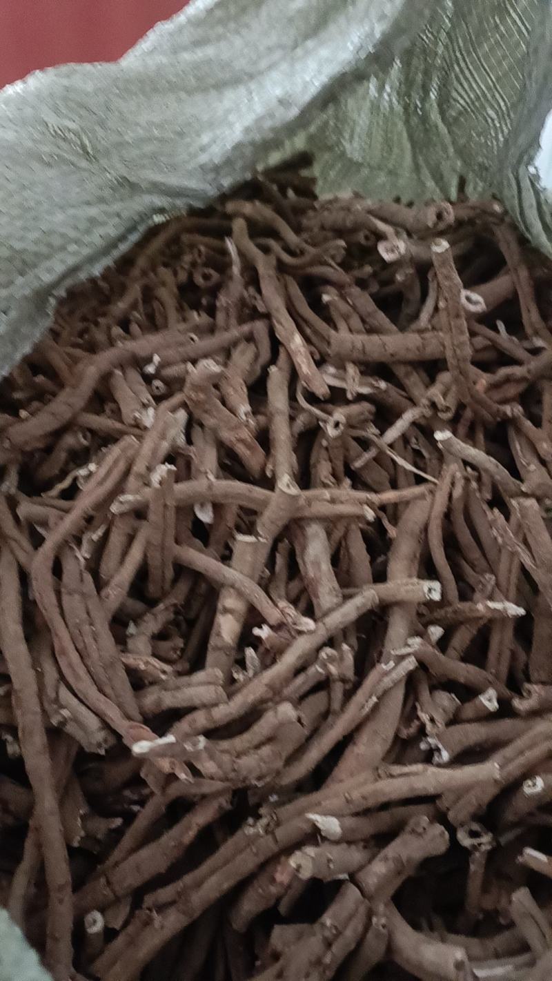 牡丹皮