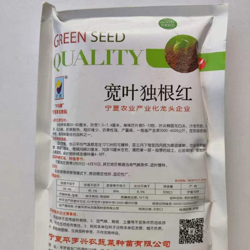 紫根韭菜正品宽叶独根红韭菜种籽抗病耐热抗寒性强产量高韭菜