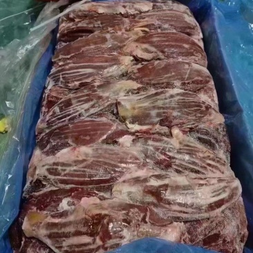 1865排腱