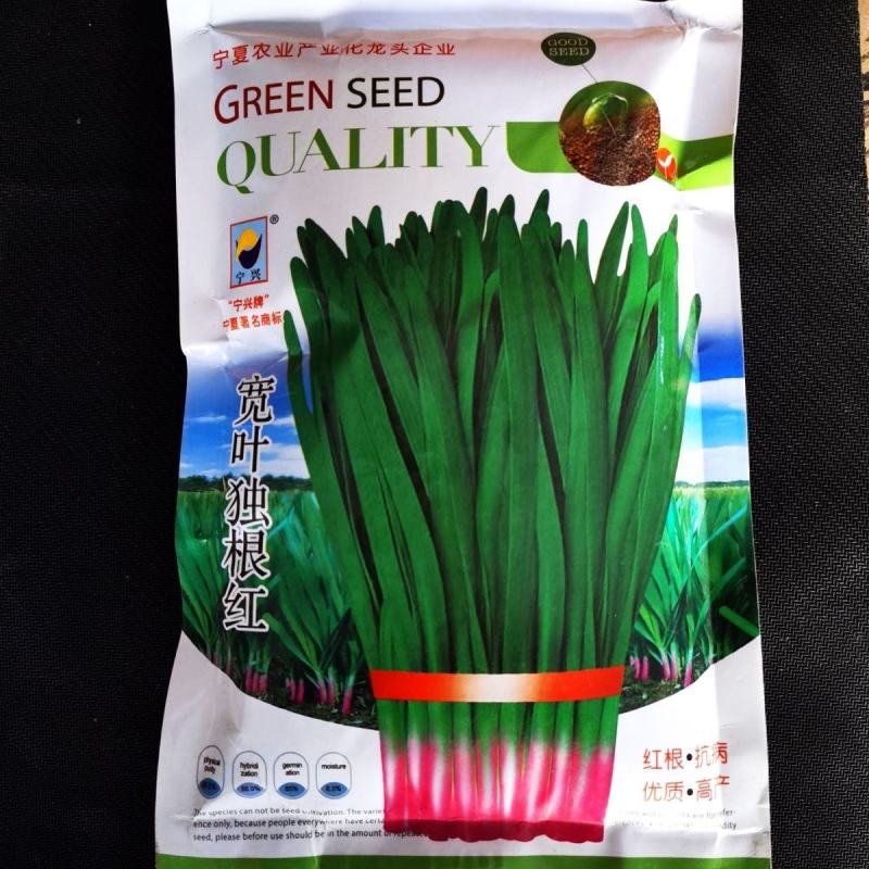 紫根韭菜正品宽叶独根红韭菜种籽抗病耐热抗寒性强产量高韭菜