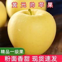 黄元帅黄金帅苹果水果新鲜净重5/8.5斤粉面刮泥黄香蕉奶