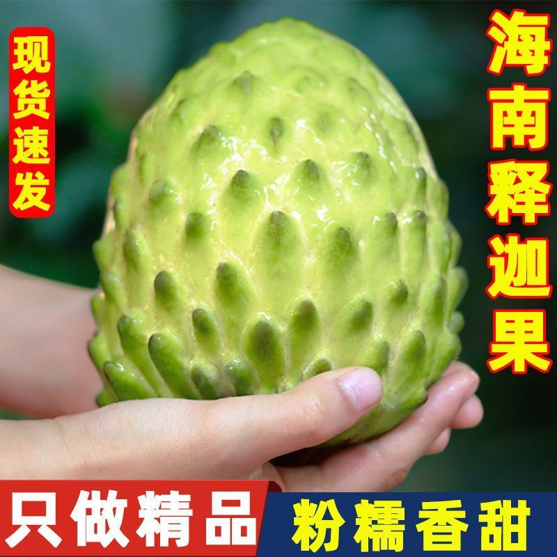 牛奶凤梨释迦果大果当季新鲜水果番荔枝佛头果释迦摩尼果