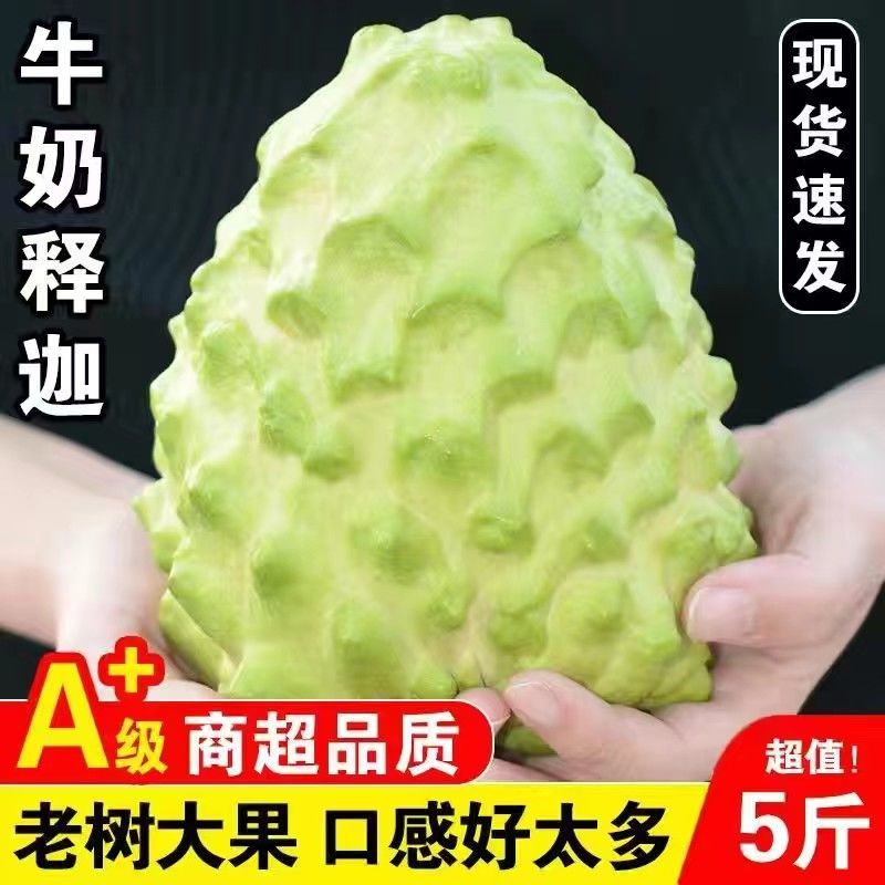 牛奶凤梨释迦果大果当季新鲜水果番荔枝佛头果释迦摩尼果