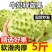 牛奶凤梨释迦果大果当季新鲜水果番荔枝佛头果释迦摩尼果