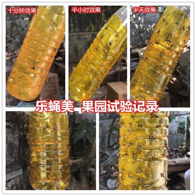 瓜果实蝇诱粘剂昆虫诱捕剂杀果蝇药针蜂粘胶诱黏引诱剂果蝇诱