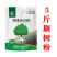 刷树粉果树刷白树木树干涂白剂涂白粉树木大树木涂白剂杀菌越