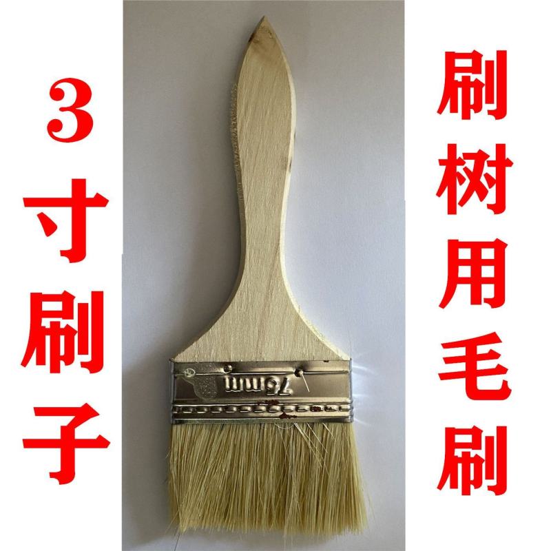 刷树粉果树刷白树木树干涂白剂涂白粉树木大树木涂白剂杀菌越