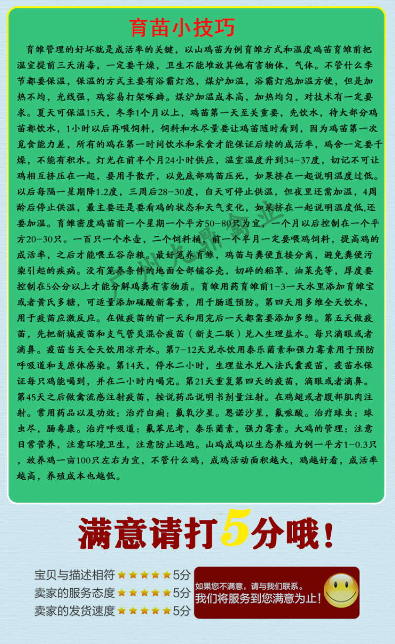 正宗文昌鸡苗土鸡苗广州孵化场直售包做疫苗技术指导运输包邮