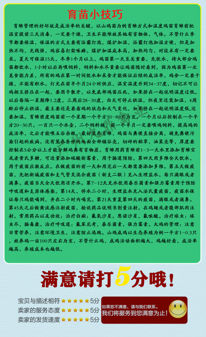 大种黑瑶鸡苗青脚土鸡苗广州孵化场直售包做疫苗技术指导