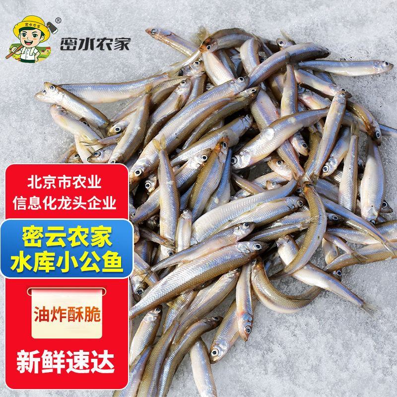 密云农家水库新鲜小公鱼活鱼现杀小白条鱼公鱼2斤