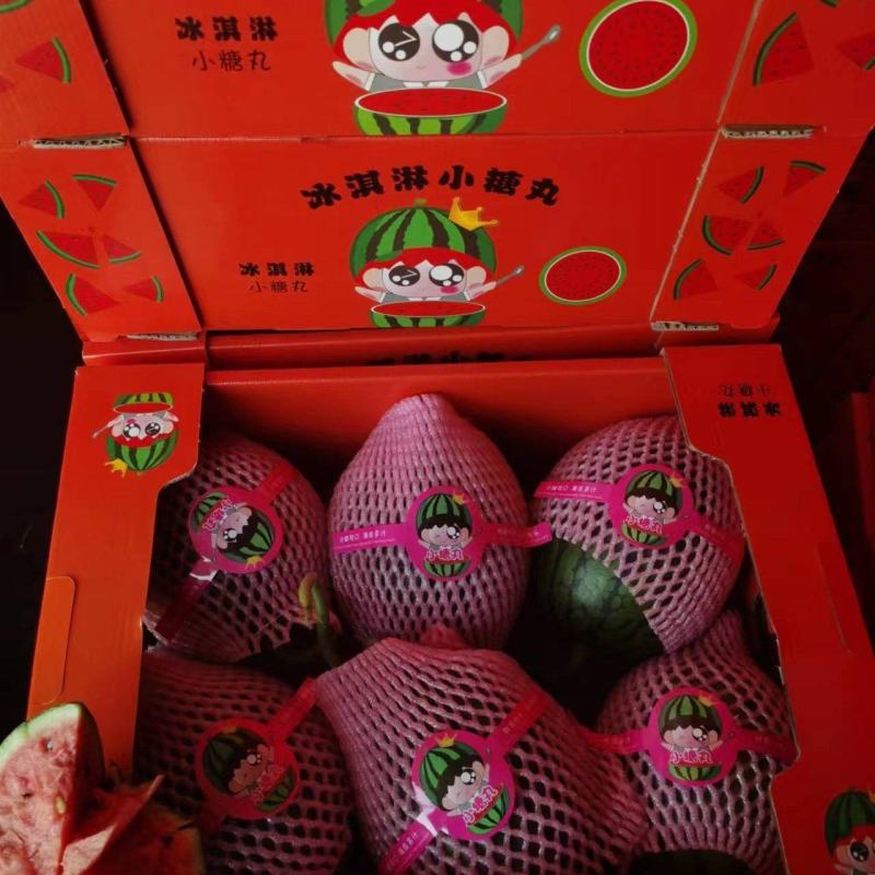 西瓜潍坊全美2k西瓜小糖丸供应商超批发市场鲜货供应