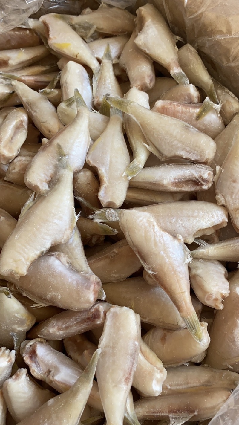 耗儿鱼马面鱼三去剥皮鱼扒皮鱼玻璃鱼火锅食材香煎烧烤干锅
