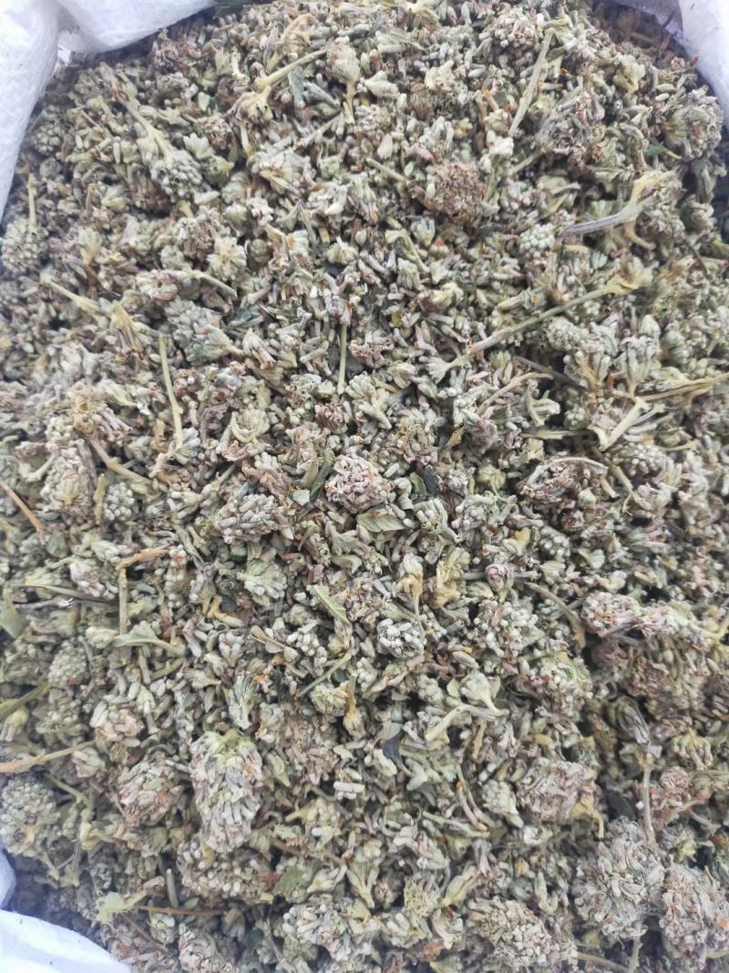 密蒙花
