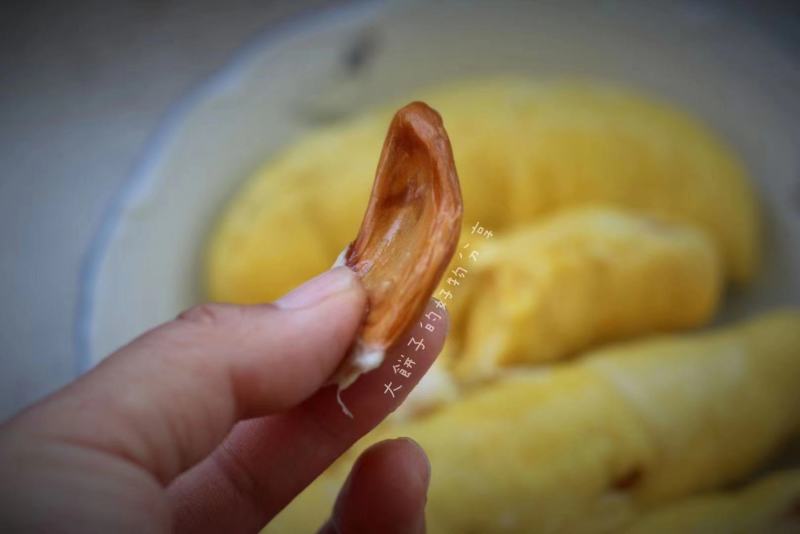 马来西亚猫山王榴莲液氮果树上熟