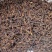 江西特产豆角干新长豇豆干豆角特级农家自制脱水蔬菜豆角干