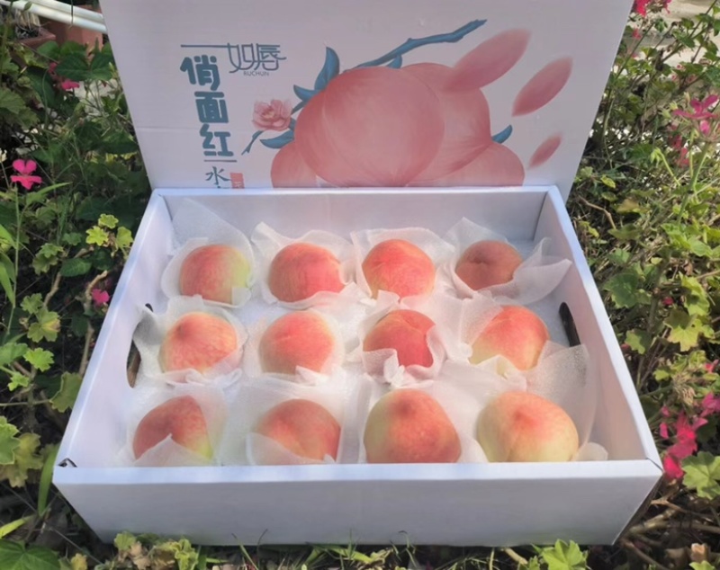 水果水蜜桃四川成都龙泉水蜜桃基地直发一件代发落地配供应链