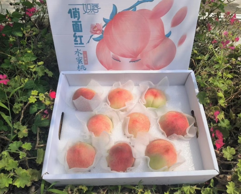水果水蜜桃四川成都龙泉水蜜桃基地直发一件代发落地配供应链