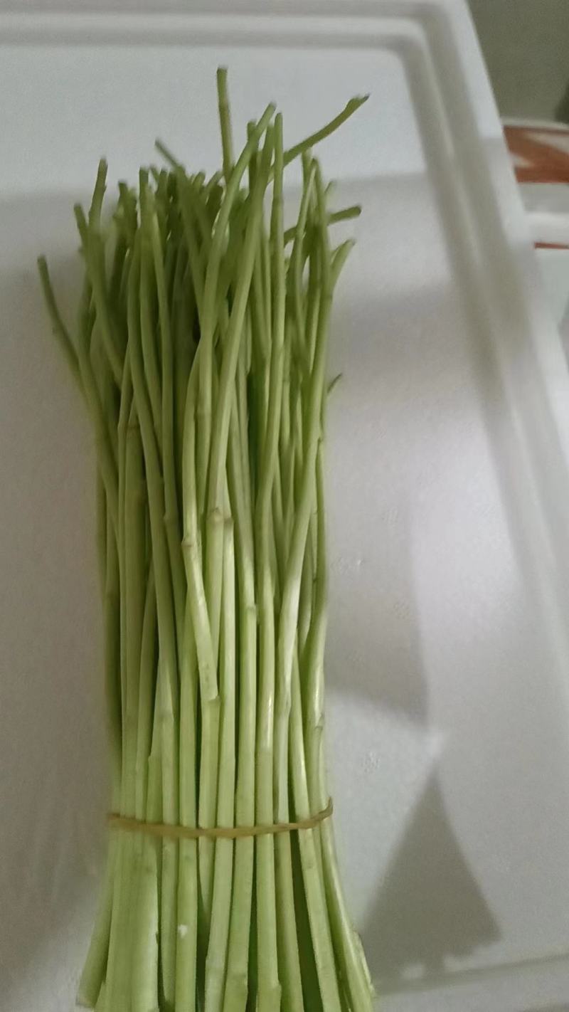 柳蒿又名柳蒿芽、蒌蒿、芦蒿、藜蒿、泥篙、菠蒿、水蒿。
