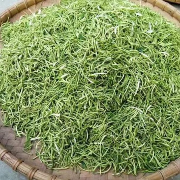金银花