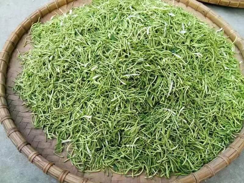 金银花