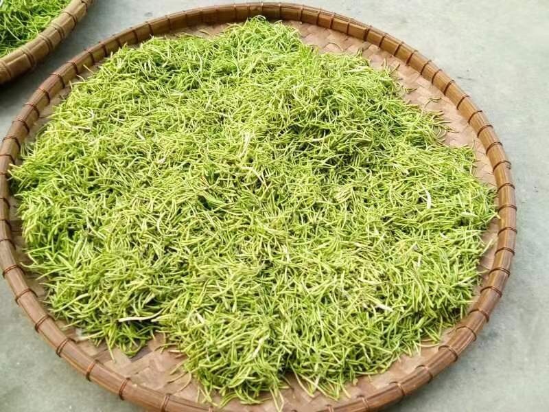 金银花