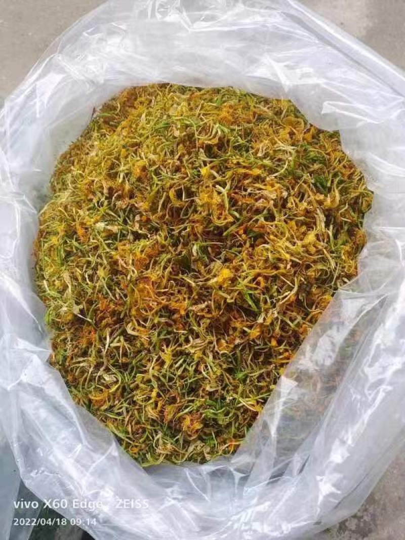 金银花