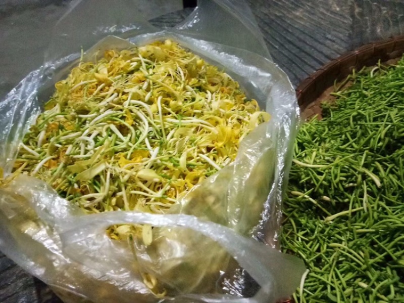 金银花
