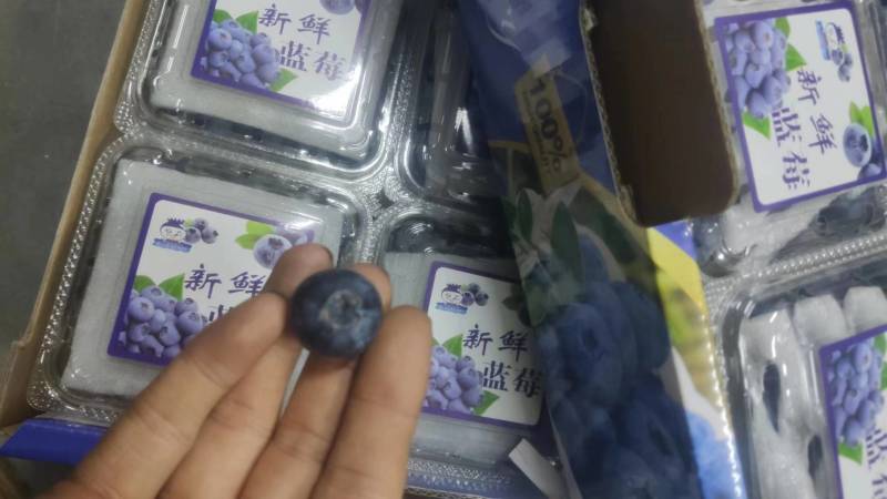 云南蓝莓电商一件代发