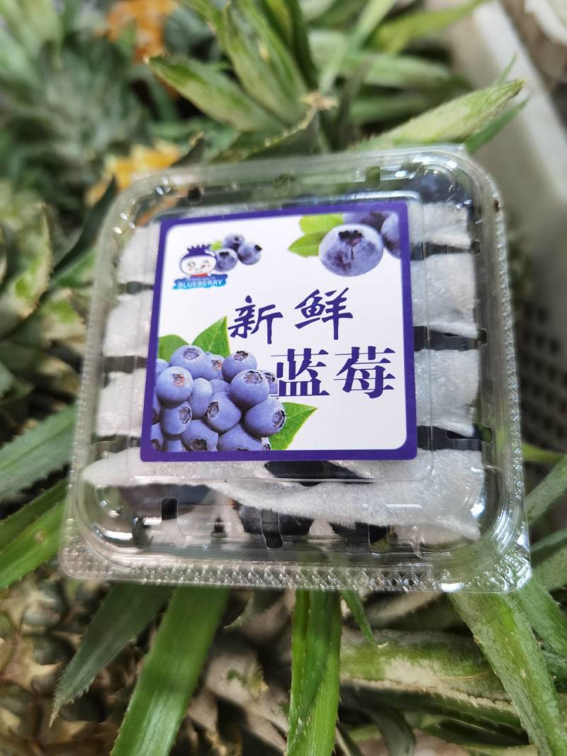 云南蓝莓电商一件代发