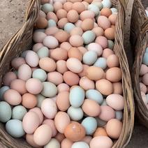 林间散养土鸡蛋11个左右一斤质量保证欢迎