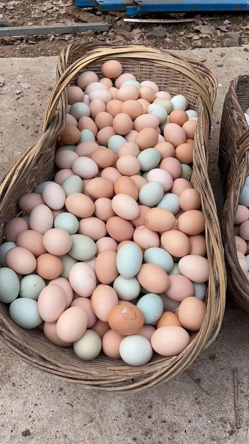 林间散养土鸡蛋11个左右一斤质量保证欢迎联系