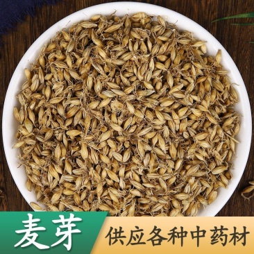批发现货麦芽谷芽稻芽货源充足常年大货供应