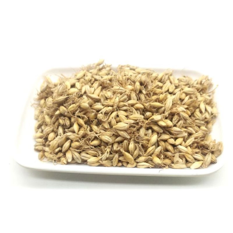 批发现货麦芽谷芽稻芽货源充足常年大货供应