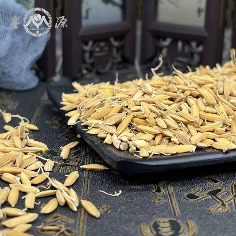 批发现货麦芽谷芽稻芽货源充足常年大货供应