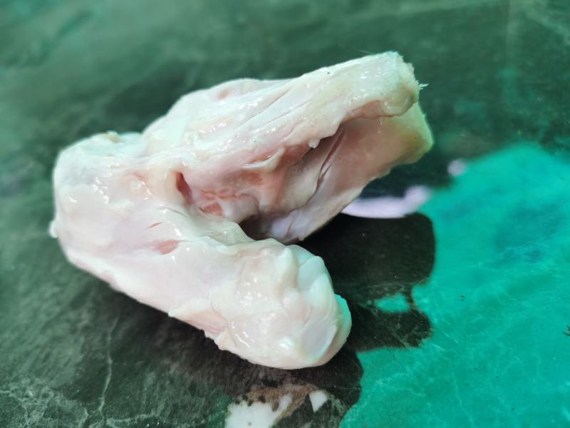 猪骨
