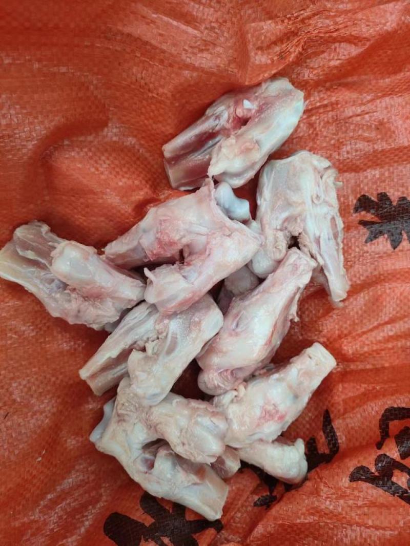 猪骨