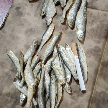 火焙条子，质量好，价格便宜，